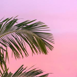 夏