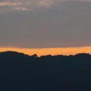 奋不顾身的一个人