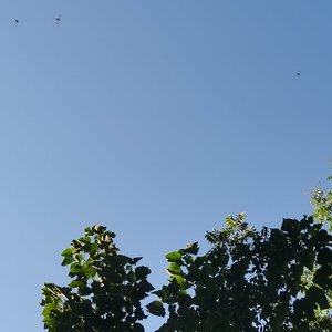 在我眼中逐渐清晰