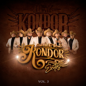 Si Tu Te Fueras de Mi (En Vivo)