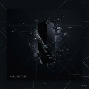 NULL VECTOR COLLAPSE