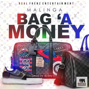Bag a Money