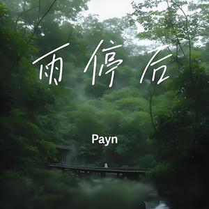 雨停后