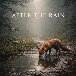 After the Rain