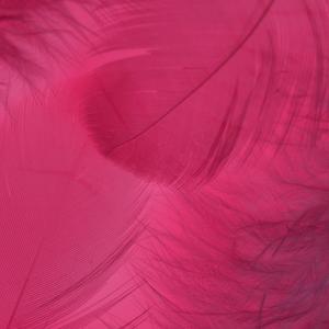 PINK DREAM(已售断)