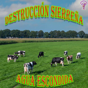 Corrido De Pantitlan
