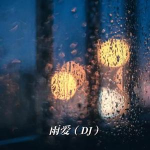 雨爱 (DJ版)