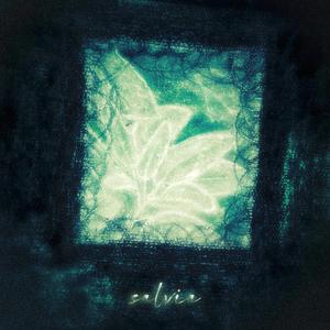 Salvia (feat. Vidal Boiles)