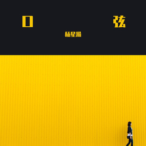 口弦（cover 赵艺涵）