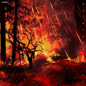 Rainforest (feat. MC Zuka)