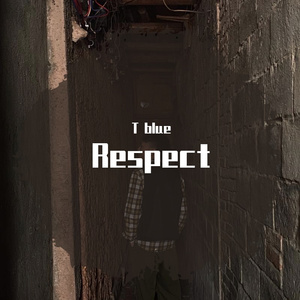 吹又生Cover杨和苏