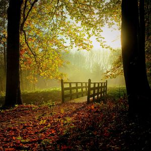 钢琴白噪音伴你入眠