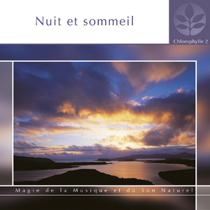 Chrysalide noctuelle