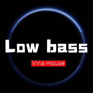 Low bass (Vina House)