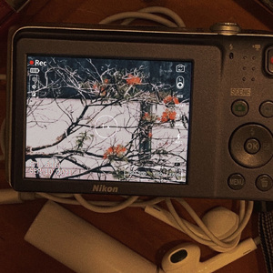 花（prod.soul&suli）