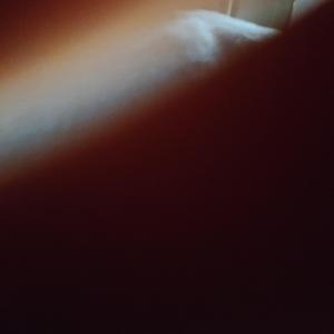 梵高先生翻至程明