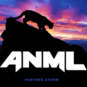 PANTHER STORM