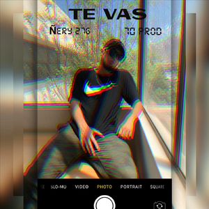 Te Vas