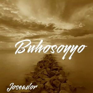Joseador