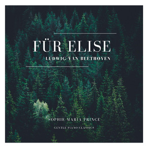 Für Elise (Gentle Piano)