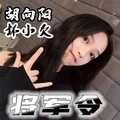 将军令 (DJ版)