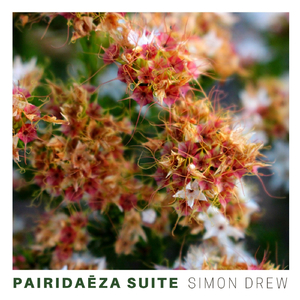 "Nosce Te Ipsum," Whispers My Soul