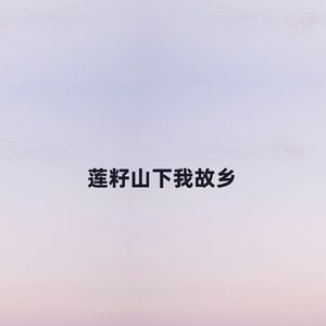 莲籽山下我故乡