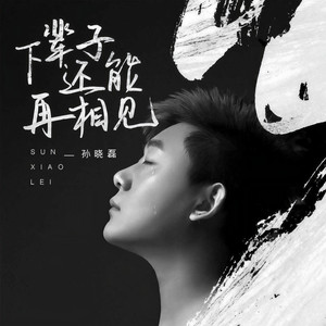 下辈子还能再相见 (伴奏)