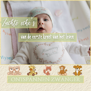 Harmonieuze aankomst