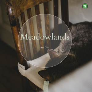 Oak Tree Whispers (Guitar Version)