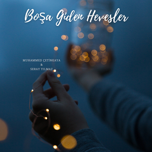 Boşa Giden Hevesler