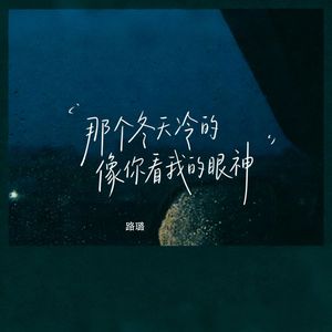 那个冬天冷的像你看我的眼神