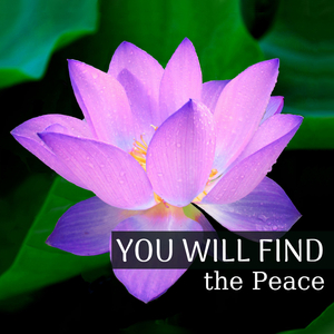 Zeel (Music to Sleep In)