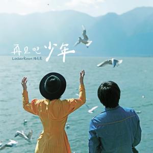 再见吧少年