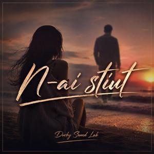 N-ai Știut (Clasic Pop / R&B/Soul - Stilul anilor 2000')
