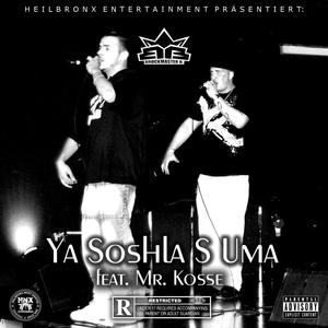 Ya Soshla S Uma (feat. Mr. Kosse)