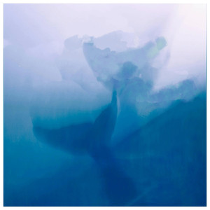 如果狐狸爱上蓝鲸 国骁雯