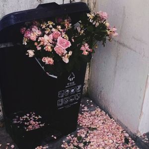 你在我的剧本里已经杀青了