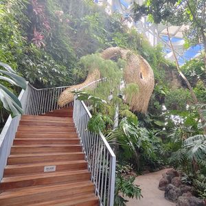 飞走的“X”（prod by Morrow x IOF）