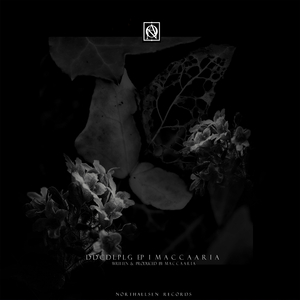 Stsbnrcplg (Original Mix)