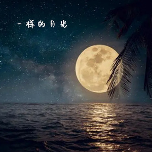 一样的月光