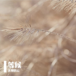 只为你停留-整曲