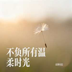 不负所有温柔时光