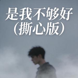 是我不够好 (伴奏|撕心版)