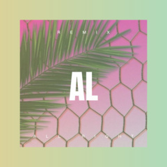 爱我的人你别哭 (DJ版)