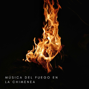 Sonidos Del Fuego Peleando