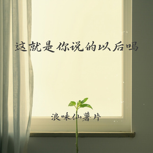 这就是你说的以后吗