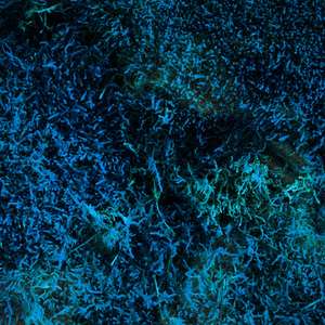 Iconic (Ron Flatter Remix)