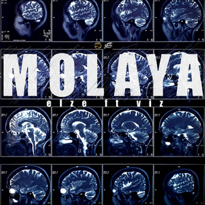 Molaya (feat. Viz)