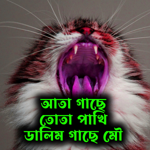 আতা গাছে তোতা পাখি ডালিম গাছে মৌ